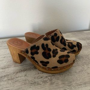 Penelope Chilvers Cheetah Clogs